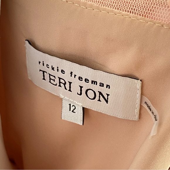 RICKIE FREEMAN TERI JON pink beading sequins feather flower tulle maxi dress - Picture 11 of 13